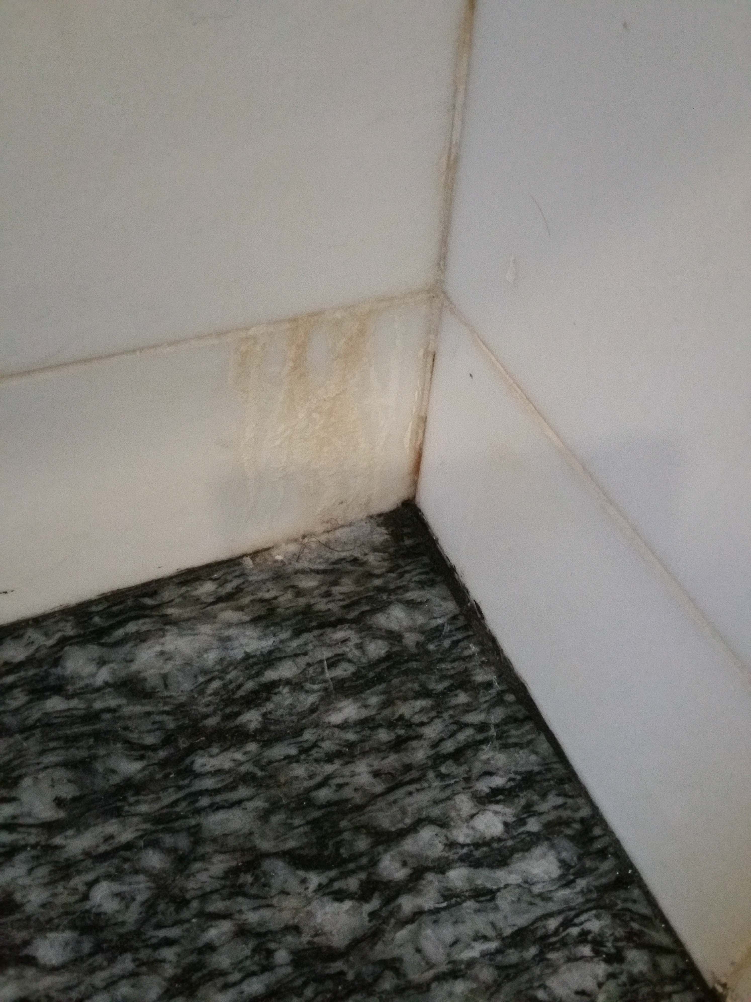 15. water ponding behind marble wall. leak and dried up mineral formation..jpg